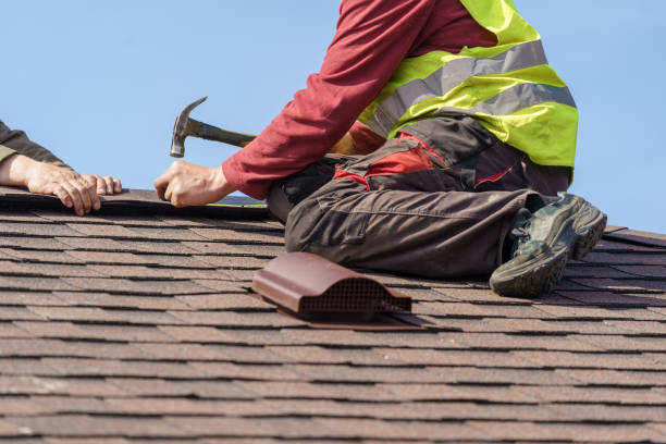 Best Roof Leak Repair  in Stlman Valley, IL